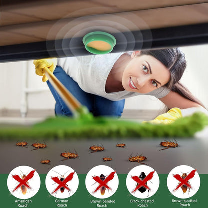 Cockroach Killer Powder Gel – 12 Pcs | Buy 1 Get 1 Free (24 Pcs / 2 Packs)